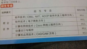 大學軟件測試方向專業選擇指南 計算機網絡、計算機應用與軟件技術深度解析